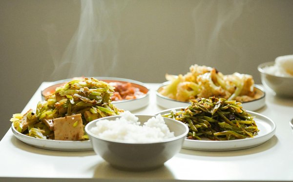 Die besten strapazierfähigen Bodenbeläge für Tierliebhaber: Tipps und Empfehlungen