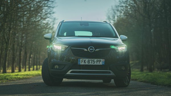 Kreative Ideen für den DIY Vogelspielplatz: So gestalten Sie einen perfekten Platz für Ihre Wellensittiche!